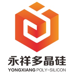 演示 Logo