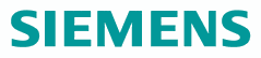演示 Logo